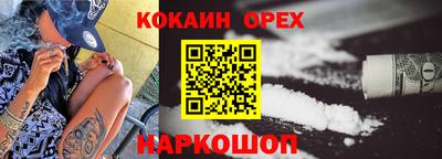 сатива Кингисепп