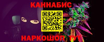сатива Кингисепп