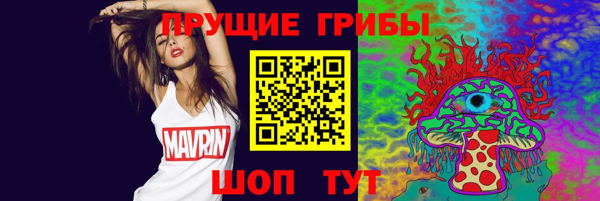 Балашов  Псилоцибиновые грибы мицелий  Псилоцибиновые грибы GOLDEN TEACHER  Вход с VPN 
