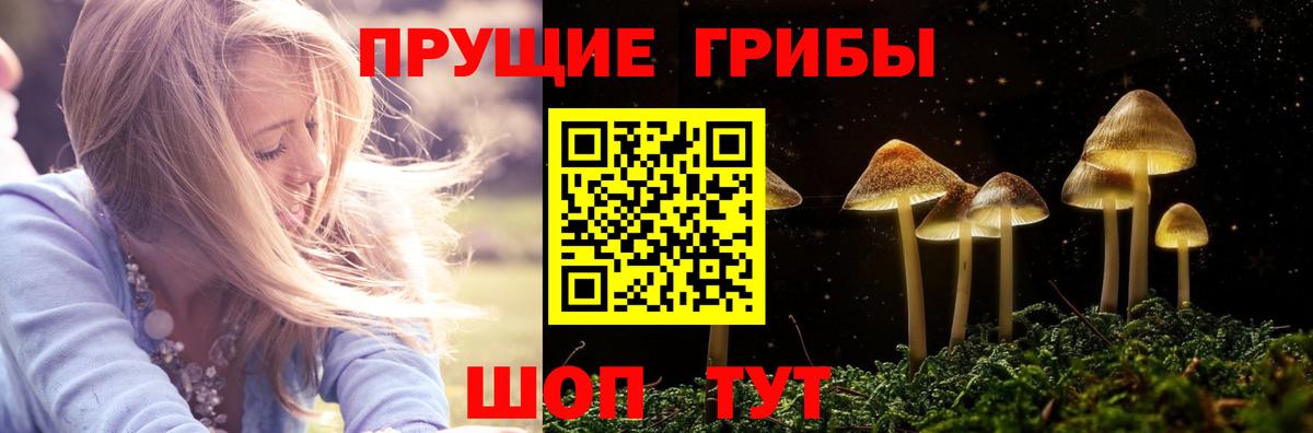 Галлюциногенные грибы Magic Shrooms Балашов